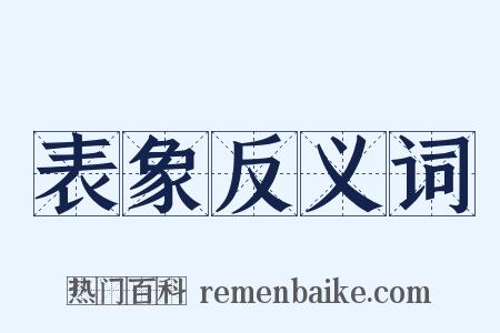 表象反义词是什么意思的图片